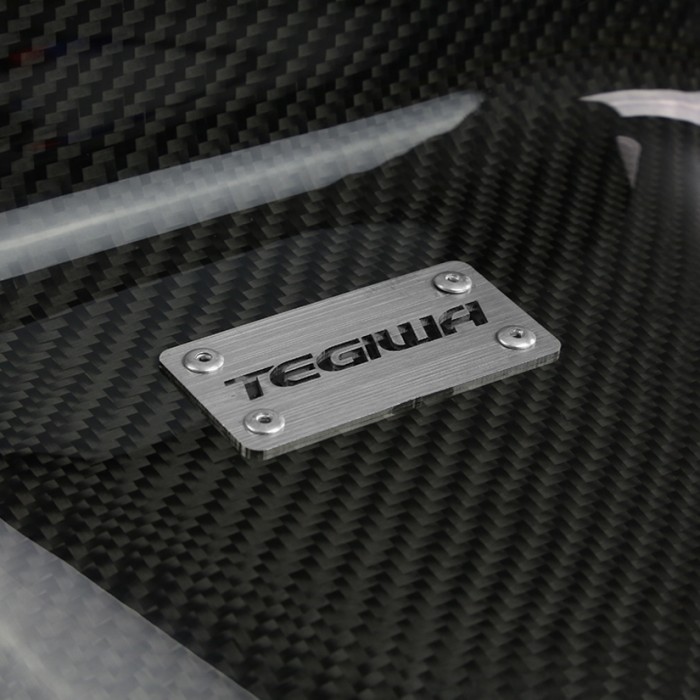 Tegiwa Carbon Airbox Intake - Civic Type R EP3 (RHD)